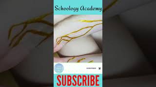 ये Blood Group दुनिया में सिर्फ 43 लोगों का है || Schoology Academy ||