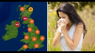 Hayfever sufferers w arned to stay inside with pollen levels at 10 year high