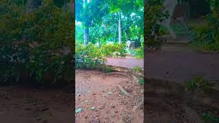 Beutiful plants and kids play ground park in bhubaneswar