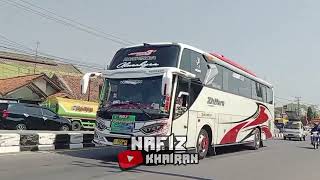 HUNTING BUS ADA BUS HCS TRANS .HCS TRANS DEWA RUCI FULL BASURI DI GUNUNG JATI CIREBON🐍🐍🐍