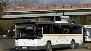 Автобус🚍ЛиАЗ-5250🚍Маршрут 21🚍