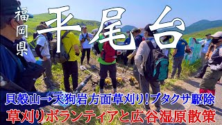 【福岡県北九州 平尾台】YAMAボ活動、ラクダ山草刈りと広谷湿原散策