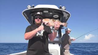 Florida Deep Sea Fishing