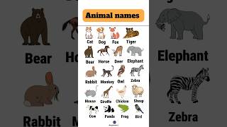 20 animals names with pictures #englishvocabulary #englishpractice #animals #animalsvocabulary