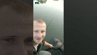 Ловля карпа на кукурузу 10+ #fishing #рыбалка #карп