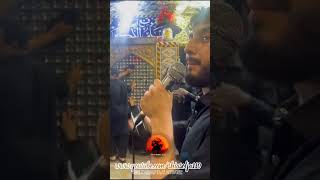 SYED WASIF NAQVI | HAYE HAYE ALI AKBAR | MAQAM ALI AKBAR (A.S) | MUHARRAM 2024 |