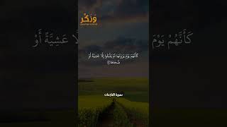 كَأَنَّهُمْ يَوْمَ يَرَوْنَهَا لَمْ يَلْبَثُوا إِلَّا عَشِيَّةً أَوْ ضُحَاهَا