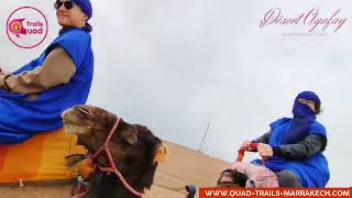 Tour Camel Ride in the Desert Agafay of Marrakech