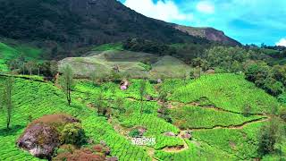 Munnar - Cinematic Drone Video