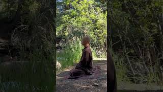 Flower - Fresh | Short Guided Meditation Daily by Brother Insight #shorts