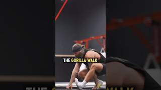 The Gorilla Walk