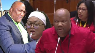 EFF vs Gayton “We Can’t Be Undermined By Gayton With Mediocre Answers In Parliament”