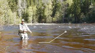 Baltic Salmon fly fishing package hosted by Anglerman fishing adventures