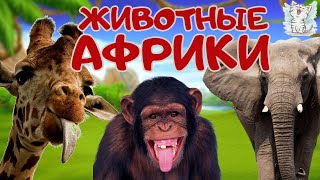 Животные Африки. Развивающее видео о животных для детей