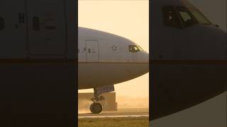 United Boeing 777-200 landing at a wet polderbaan #aviation #planespotting #ytshorts #airport #plane