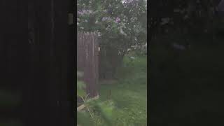 Severe Thunderstorm ! #viral #video #shorts #thunderstorm #Mabel Thumma