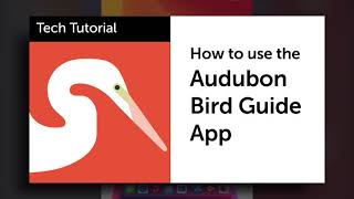 Tech Tutorial: Audubon Bird Guide App