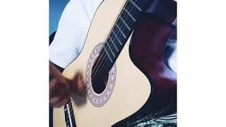 Beliver fingerstyle,violão acustico