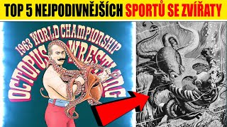 TOP 5 nejpodivnějších SPORTŮ SE ZVÍŘATY