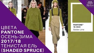 МОДНЫЕ ЦВЕТА PANTONE СЕЗОНА ОСЕНЬ-ЗИМА 2017-2018 ЗОЛОТИСТЫЙ ЛАЙМ (GOLDEN LIME)