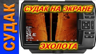 Как эхолот показывает судака и щуку 2 часть