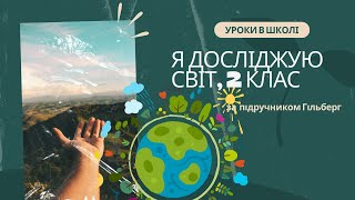 Чи всі гриби їстівні, ЯДС 2 клас