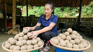 Recipe making wine yeast from herbs in the forest of the mountain ethnic people | Ly Thi Tam