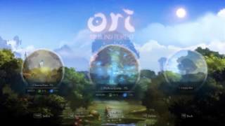 Ori: Overmap OOB