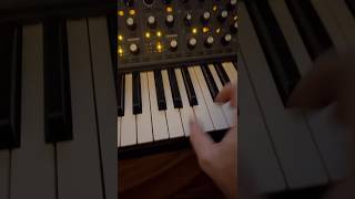 Powerful Moog Sub-37 Analogue Delay patch (Bnk1 preset 1) #moog