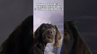 "O cartão de crédito" #humour #animal #humor #viral#engraçados  #viagem #viral