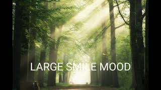 large smile mood - no copy right music-calm