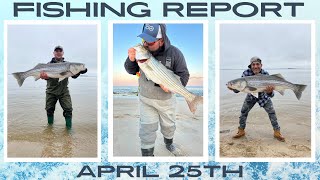 New Jersey Fishing Report April 25th #fishingreport #surffishing #stripedbass