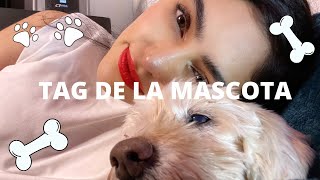 TAG DE LA MASCOTA CON REBEKA | Estef Palacios