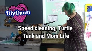 Speed Cleaning | Turtle tank | Mom Life | DiyDawn