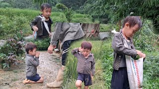 The sick mother went to look for vegetables to sell and buy medicine for Hoang Xuan's mother