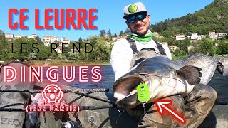 SILURE au LEURRE en période de frai des poissons blancs (Partie 1)