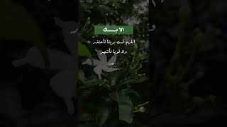 لا حول ولا قوة إلا بك 🥰♥️ أجمل حالات واتس اب 😻💖 #اكسبلور #قوة #الله #ذكر_الله #قلب #طمأنينة #يارب