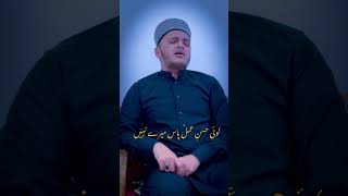 کوئی حسن عمل پاس میرے نہیں