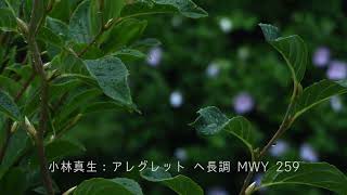 小林真生：アレグレット ヘ長調 MWY 259（2023）オーケストラ編曲版