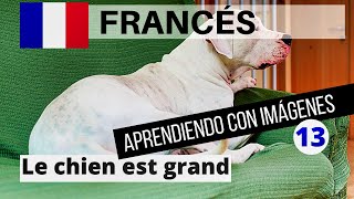 Aprender francés es fácil para principiantes 13 | Aprende francés rápidamente con imágenes