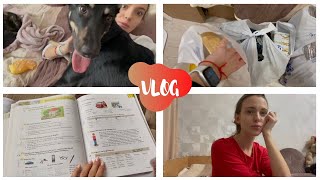 VLOG | Потратили кучу денег / Сбылась мечта / Много снега