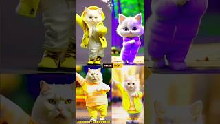 what a cute cat dance ❤ patali kamar teri hay 😂😍 #cat #dancingcat #catvideos #youtubeshorts #funny