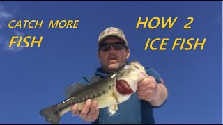 HOW TO ICE FISH with basic equipment