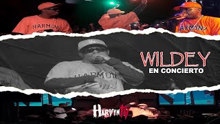 Wildey - Concierto Completo - San Antonio de los Baños ( Harvyn TV )