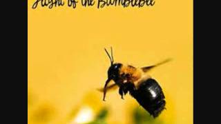 Flight of the bumble bee / Crash Pollito