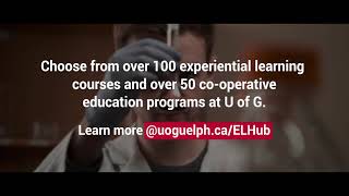 There is an experiential learning opportunity for every student at the University of Guelph