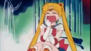 Sailor moon characters sing bad romance sped up