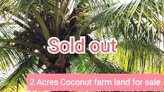 2 Acres Coconut farm land for sale (7338197726) 120 Kms form Bangalore