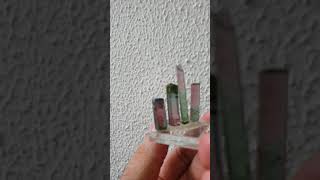 Bicolor tourmalines from aricanga mine in Brazil.  7.6 grams