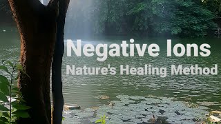 Walks in Green 🏞🎍🏝 | Daily Steps Count. Inhaling Negative ions for several health benefits.